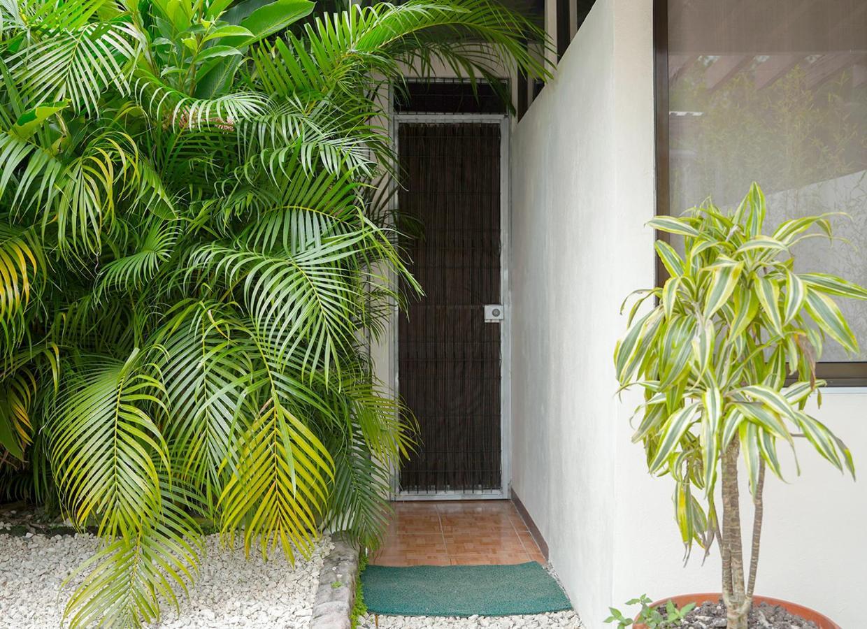 Apartamentos Y Studios Brisas Del Mar Santa Teresa Playa Santa Teresa  Esterno foto