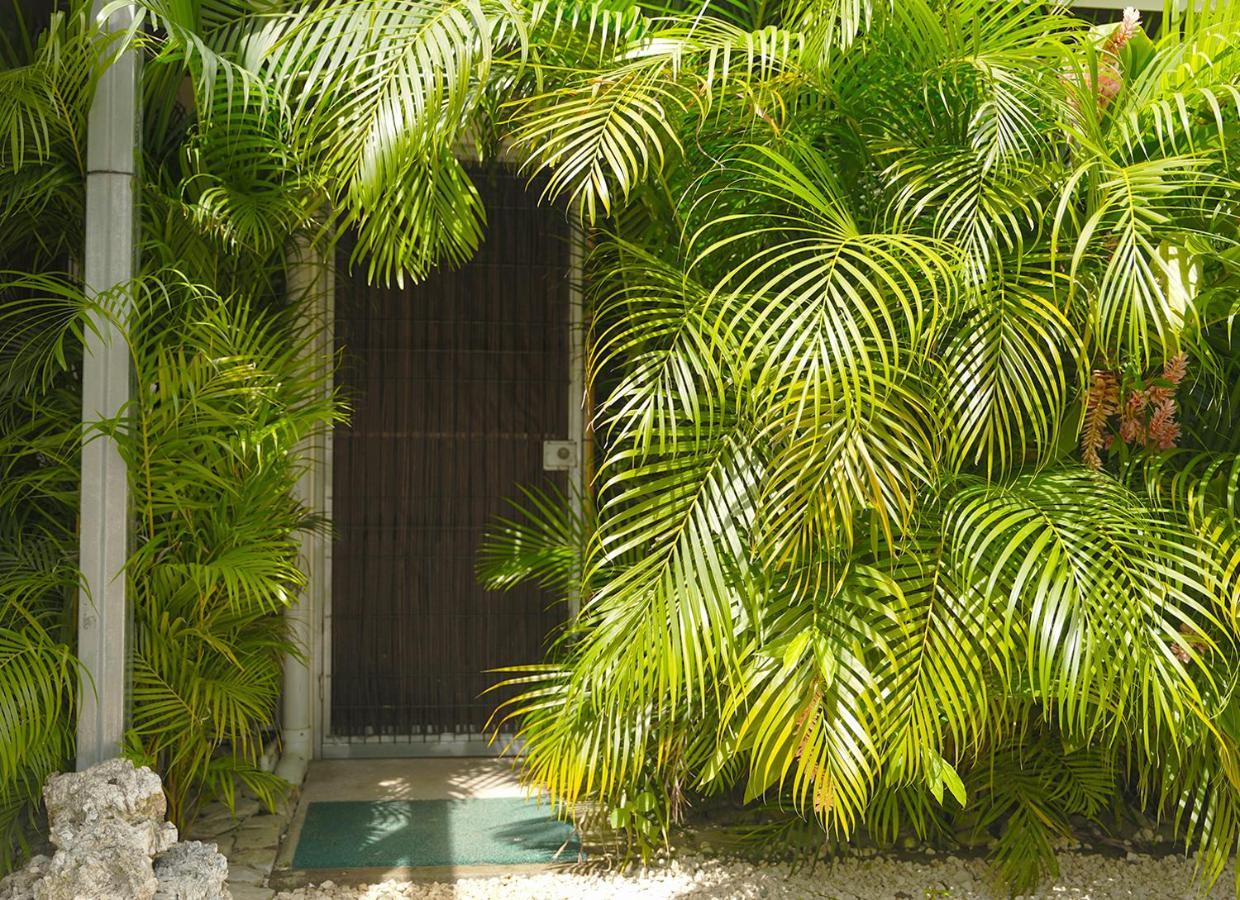 Apartamentos Y Studios Brisas Del Mar Santa Teresa Playa Santa Teresa  Esterno foto
